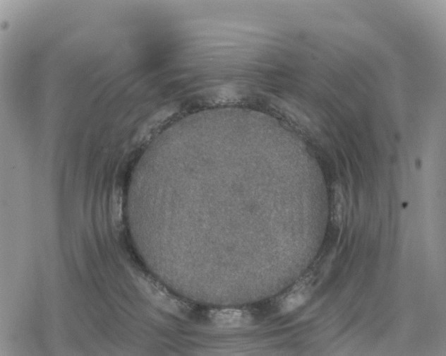 X0000078280230200611251426