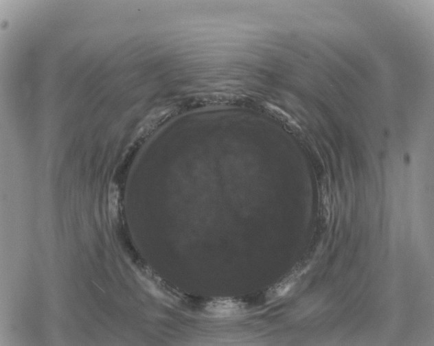 X0000078280231200611251426