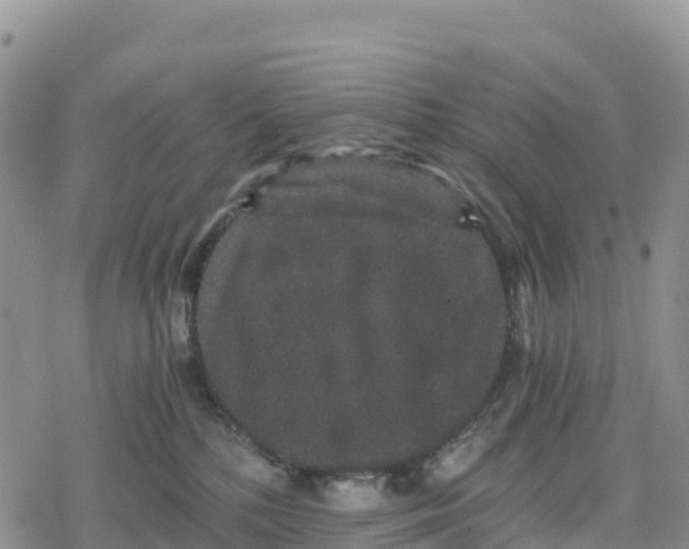 X0000078280232200611251426