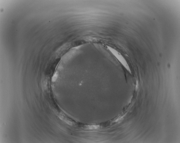 X0000078280233200611251426