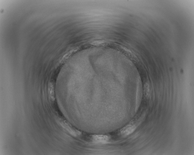 X0000078280234200611251426