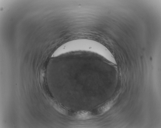 X0000078280235200611251426