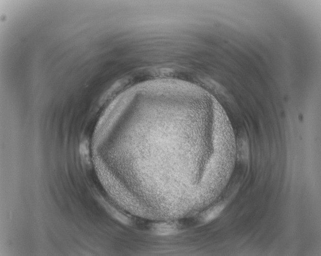 X0000078280238200611251426