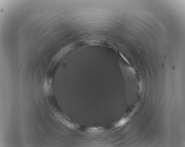 X0000078280239200611251426