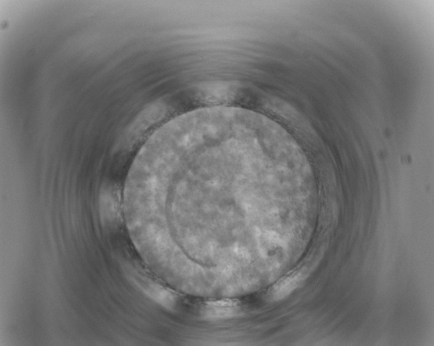 X0000078280240200611251426