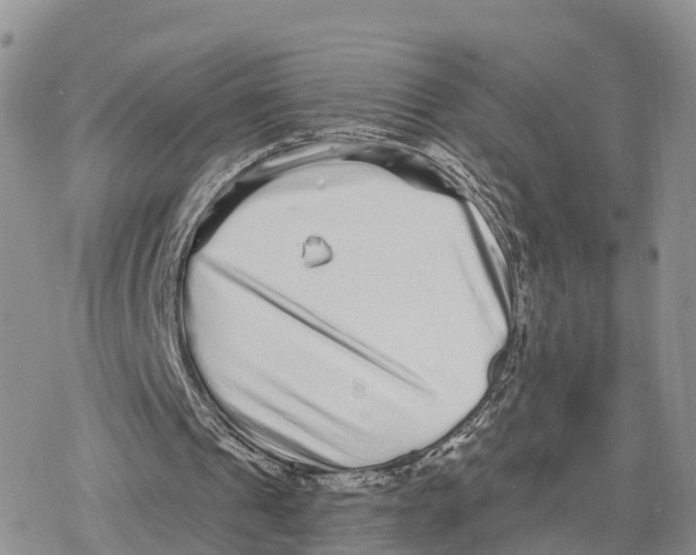 X0000078280241200611251425