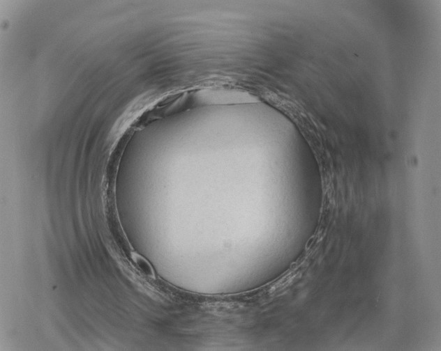 X0000078280242200611251425