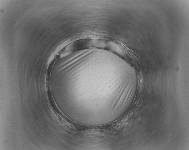 X0000078280244200611251425