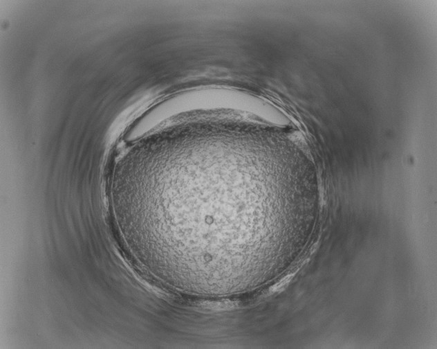 X0000078280245200611251425