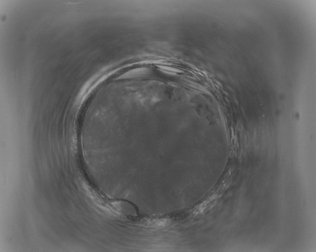 X0000078280247200611251425