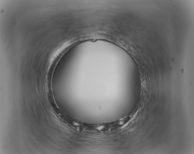 X0000078280248200611251425