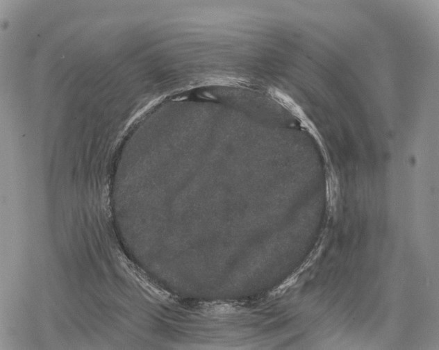 X0000078280249200611251425