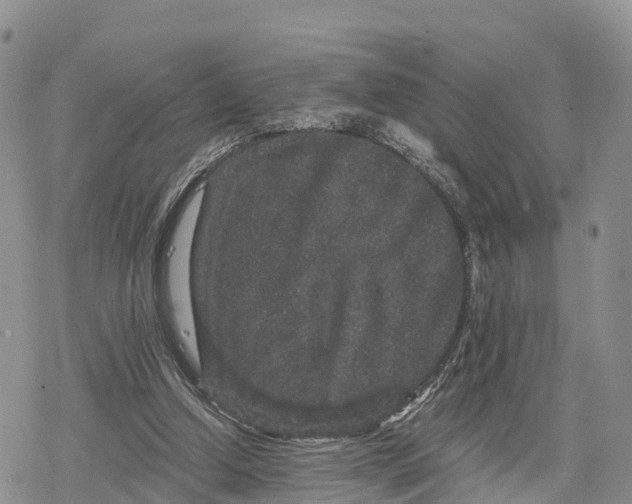 X0000078280250200611251425