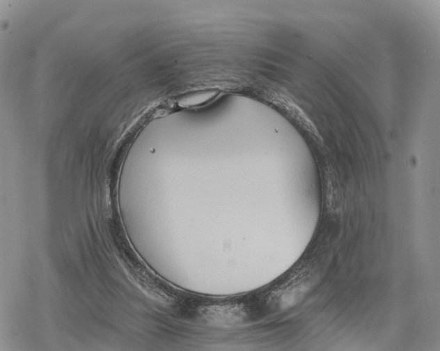 X0000078280251200611251425