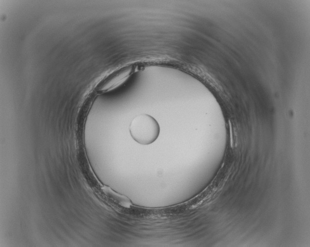 X0000078280252200611251425