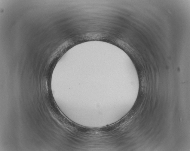 X0000078280254200611251425