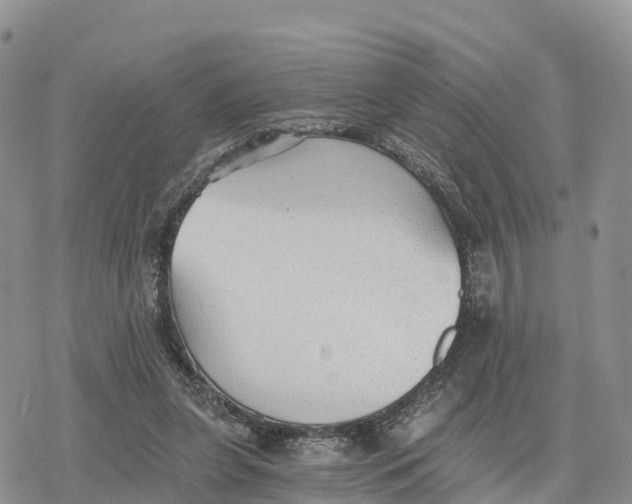 X0000078280255200611251425