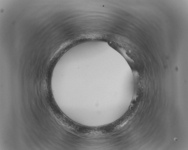 X0000078280256200611251425