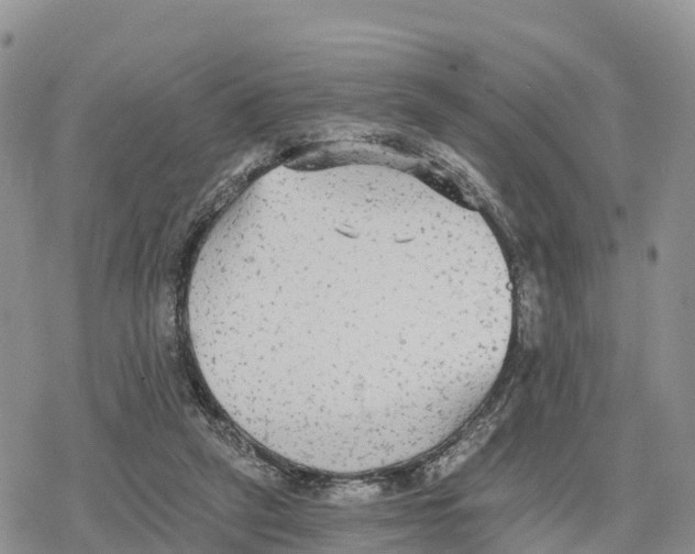 X0000078280257200611251425