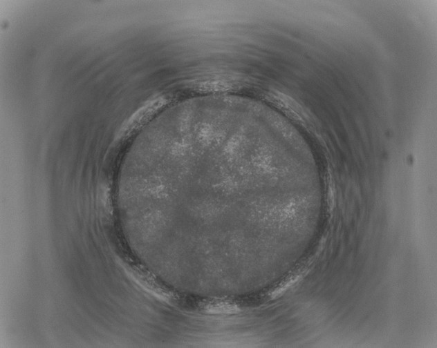 X0000078280258200611251425