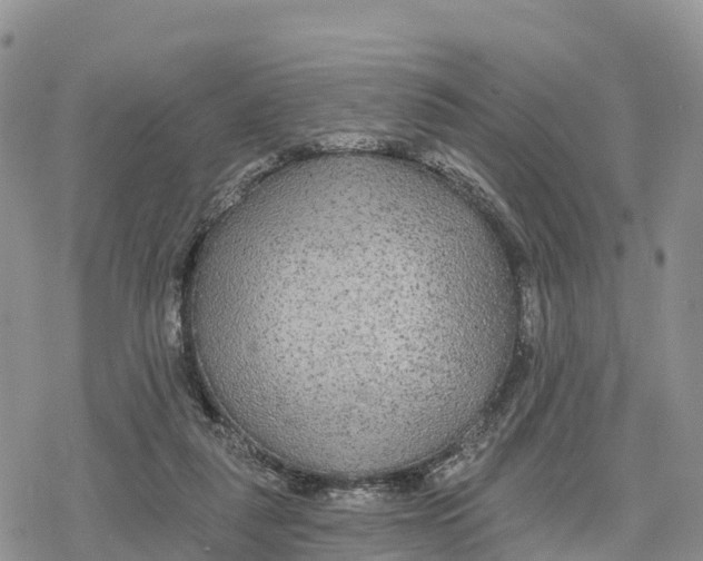 X0000078280259200611251425