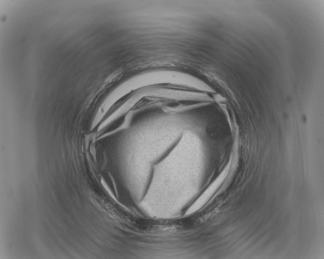 X0000078280260200611251425