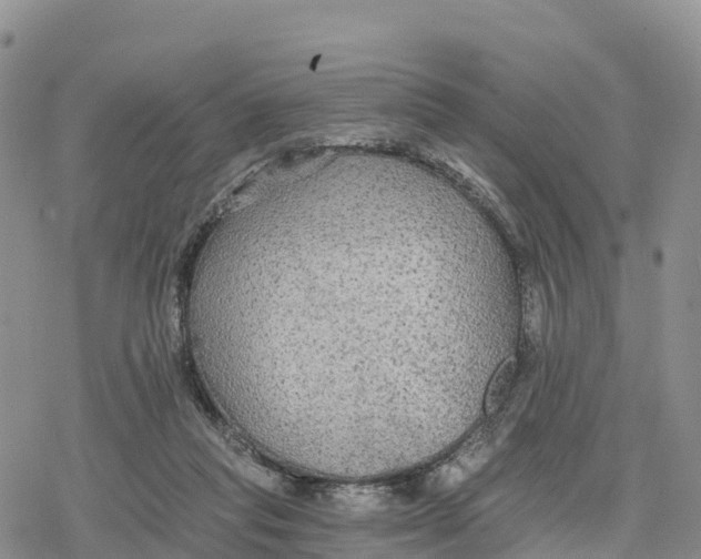 X0000078280261200611251425