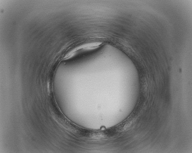 X0000078280262200611251425