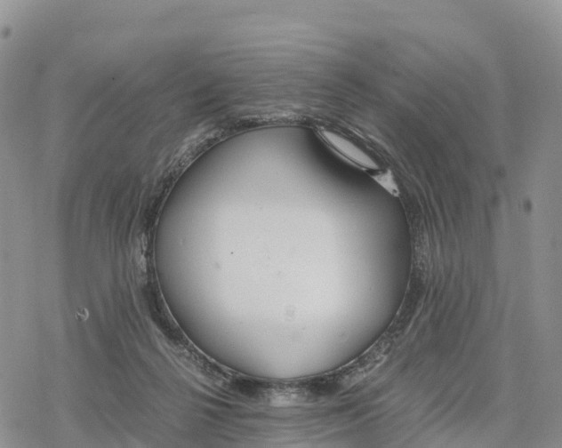 X0000078280264200611251425