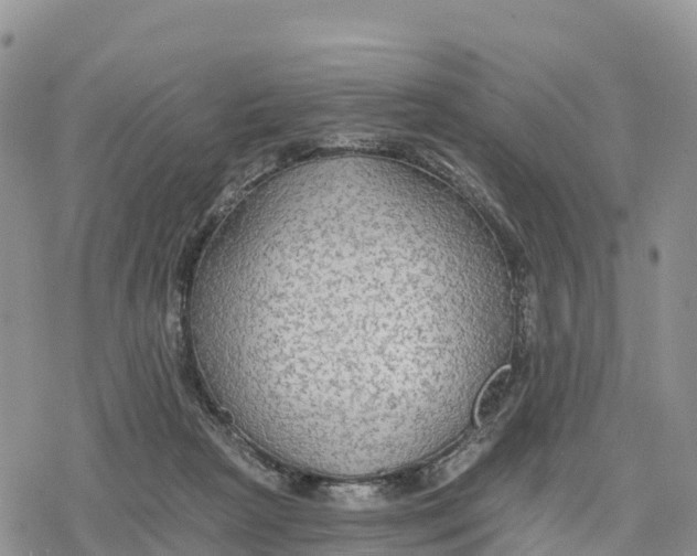 X0000078280265200611251425