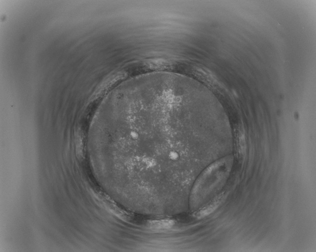 X0000078280266200611251425