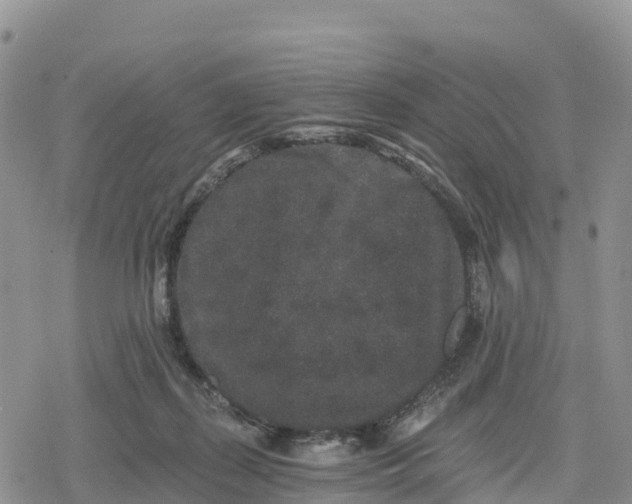 X0000078280267200611251425