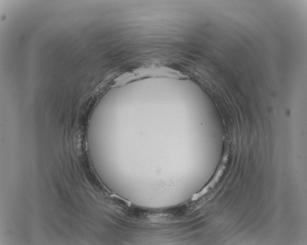 X0000078280268200611251425