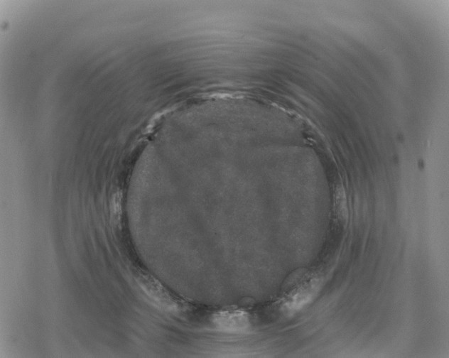 X0000078280271200611251426