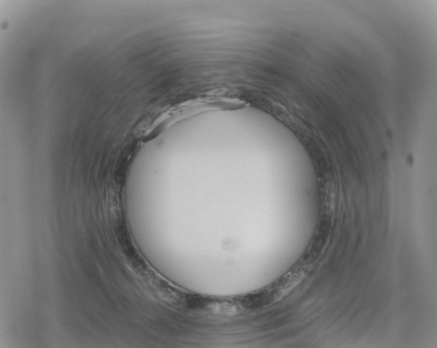 X0000078280272200611251426