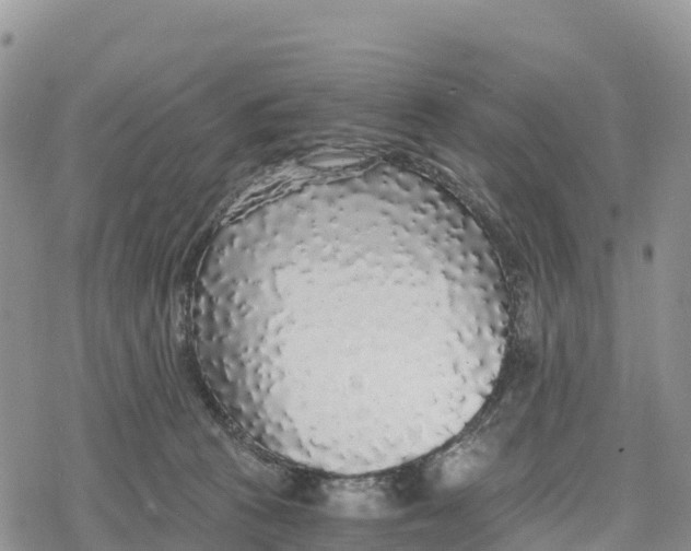 X0000078280273200611251426