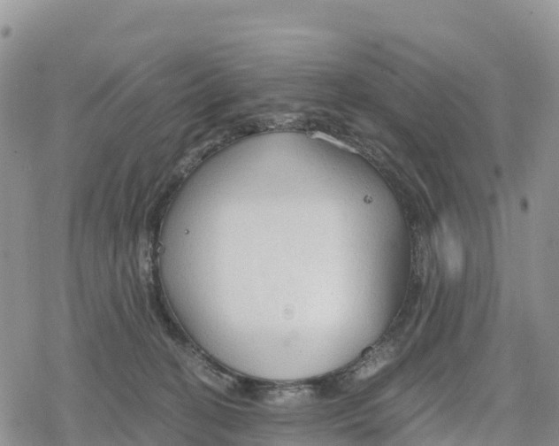 X0000078280274200611251426