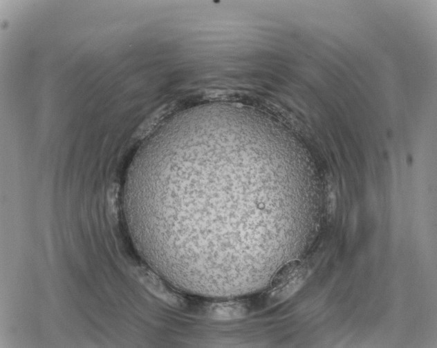 X0000078280275200611251426