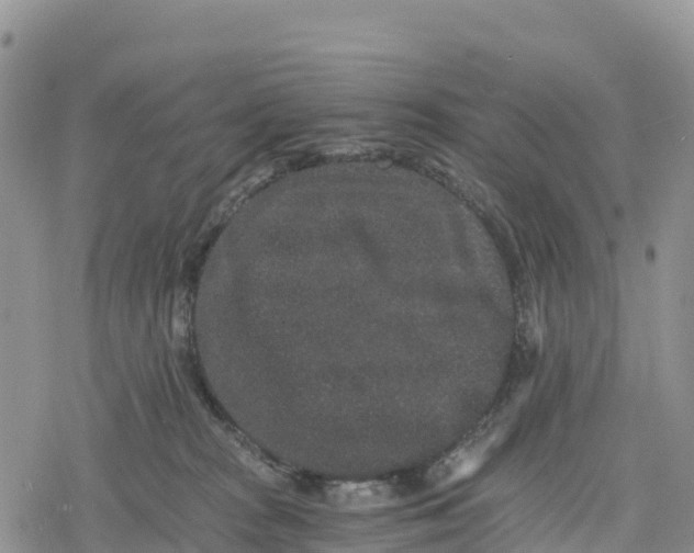 X0000078280277200611251426