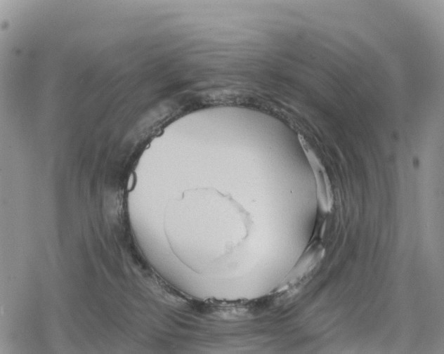 X0000078280278200611251426