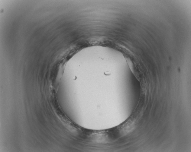 X0000078280280200611251426