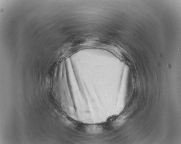 X0000078280281200611251426