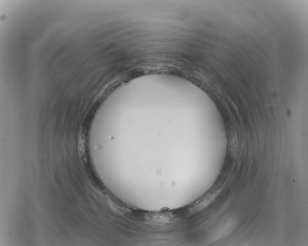 X0000078280282200611251426