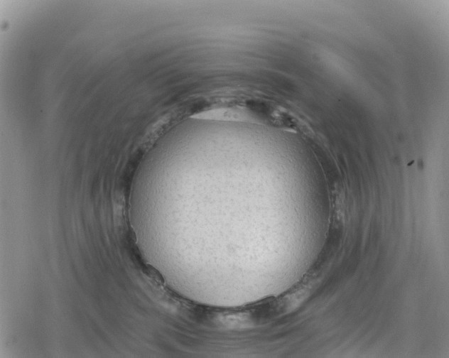 X0000078280283200611251426