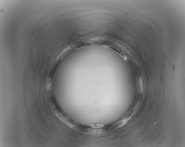 X0000078280284200611251426