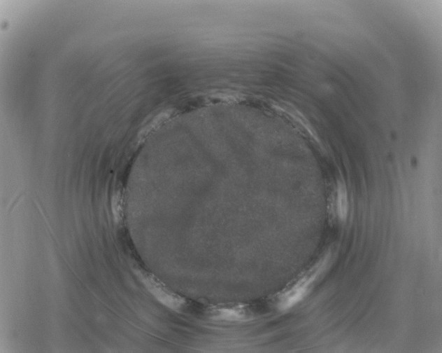 X0000078280285200611251426