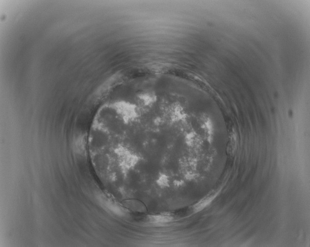 X0000078280286200611251426