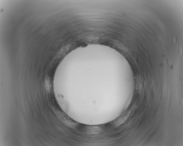 X0000078280287200611251426