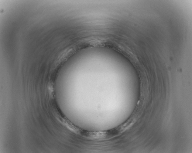 X0000078280288200611251426