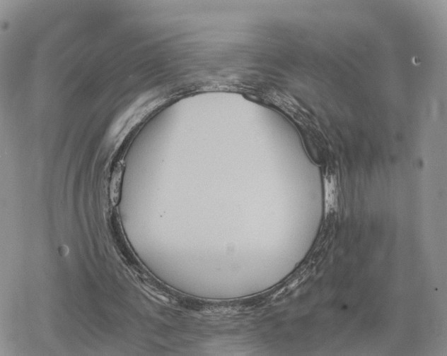 X0000078280291200611251425